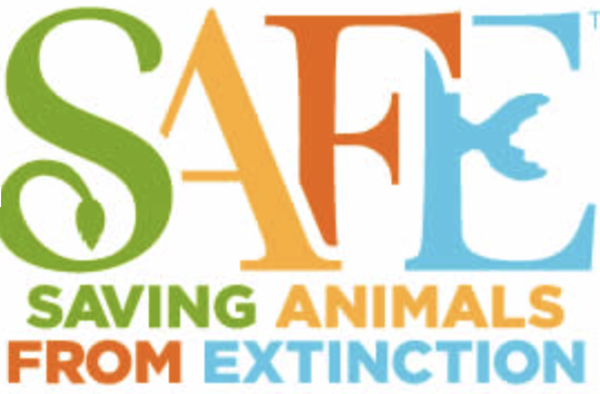 SAFE (Saving Animals From Extinction) works to help endangered animals get into a safe shelter.